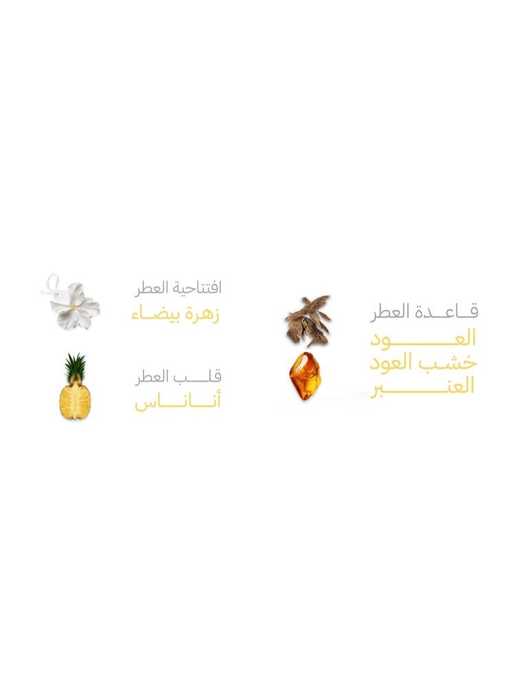 Osma Sola Perfume Oud & Amber Harmony / 75 ml - Image 5
